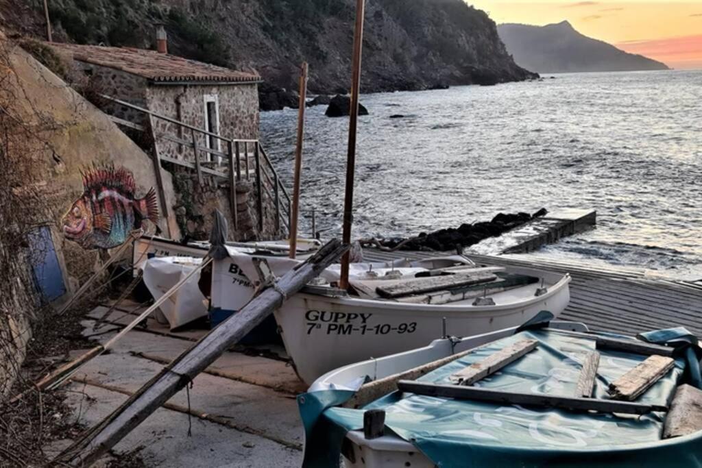 Casa Mistral, Un Paraiso De Mar Y Montana Valldemossa  Buitenkant foto